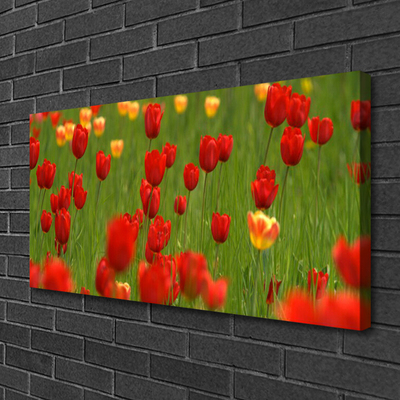 Quadro canvas Planta de tulipas