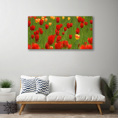 Quadro canvas Planta de tulipas