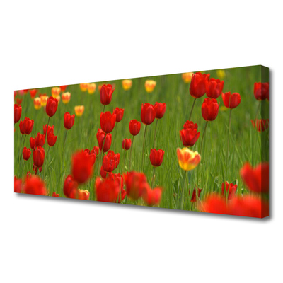 Quadro canvas Planta de tulipas