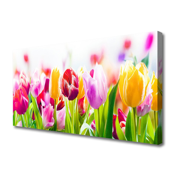 Quadro canvas Tulipas Flores