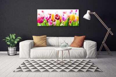 Quadro canvas Tulipas Flores