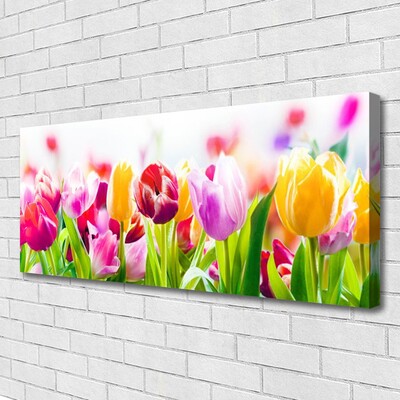 Quadro canvas Tulipas Flores