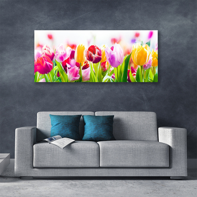 Quadro canvas Tulipas Flores