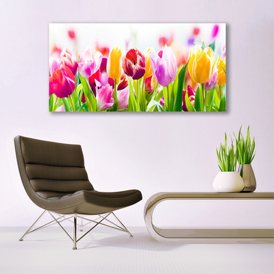 Quadro canvas Tulipas Flores