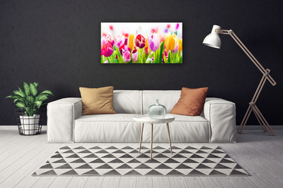Quadro canvas Tulipas Flores