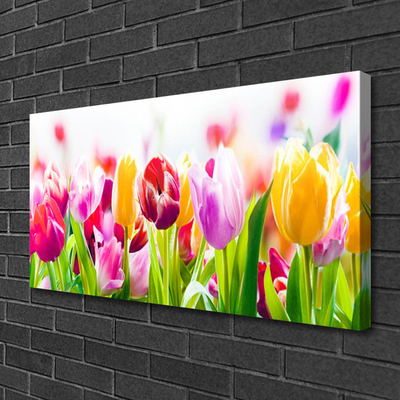 Quadro canvas Tulipas Flores