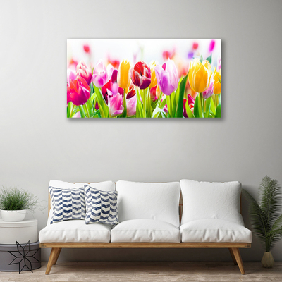 Quadro canvas Tulipas Flores