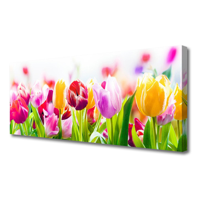 Quadro canvas Tulipas Flores