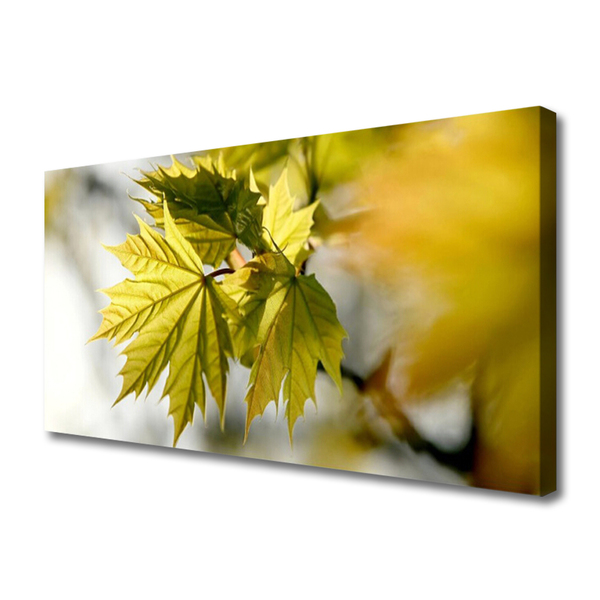 Quadro canvas Folhas Planta