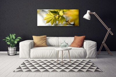 Quadro canvas Folhas Planta