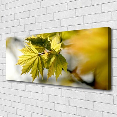 Quadro canvas Folhas Planta