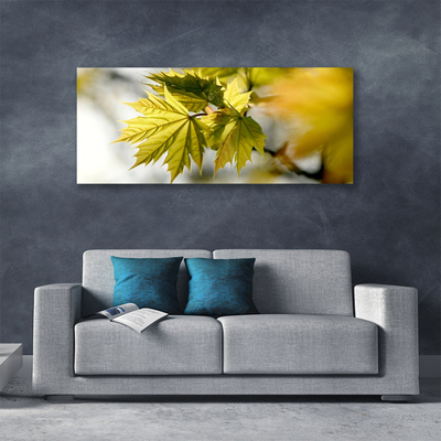 Quadro canvas Folhas Planta