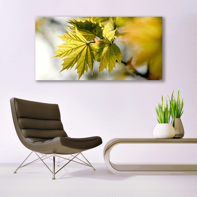 Quadro canvas Folhas Planta