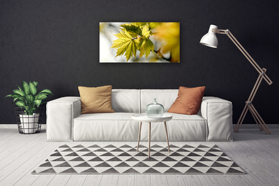 Quadro canvas Folhas Planta
