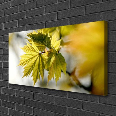 Quadro canvas Folhas Planta