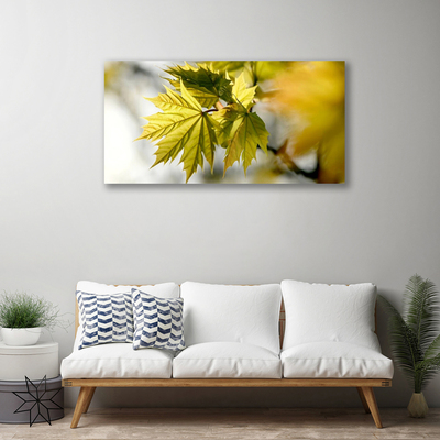 Quadro canvas Folhas Planta