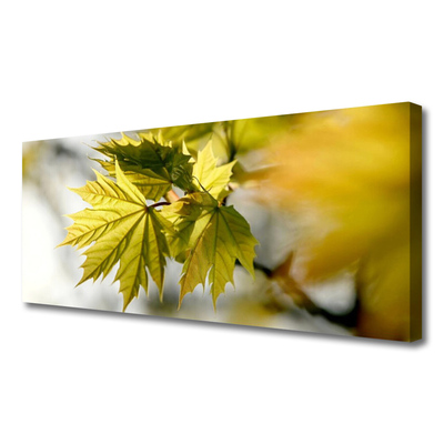 Quadro canvas Folhas Planta