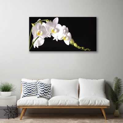 Quadro em tela Planta de flores