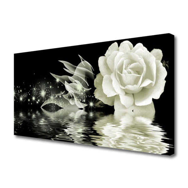 Quadro canvas Planta de flor de rosa