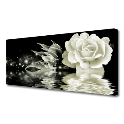Quadro canvas Planta de flor de rosa