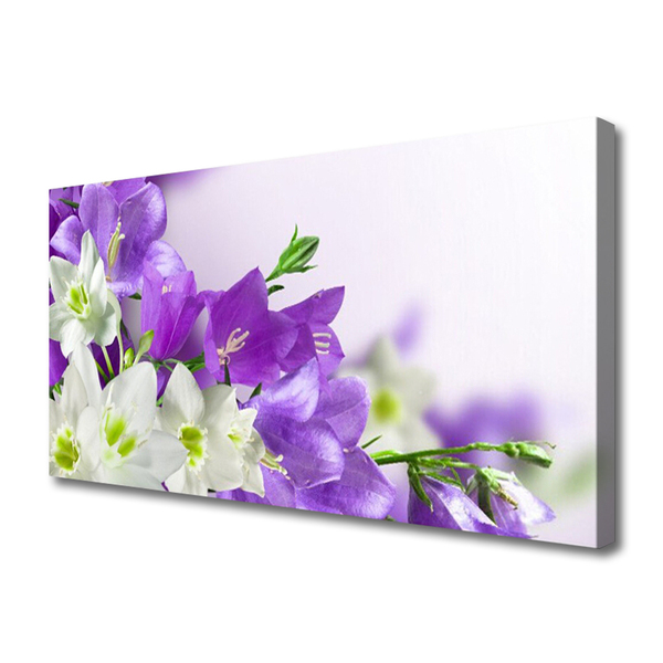 Quadro canvas Planta de flores
