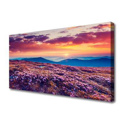 Quadro canvas Prado Montanha Flores Natureza