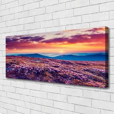 Quadro canvas Prado Montanha Flores Natureza
