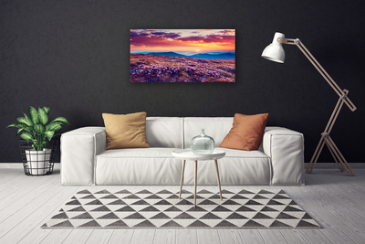 Quadro canvas Prado Montanha Flores Natureza