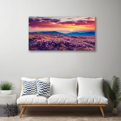 Quadro canvas Prado Montanha Flores Natureza