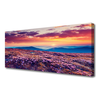 Quadro canvas Prado Montanha Flores Natureza