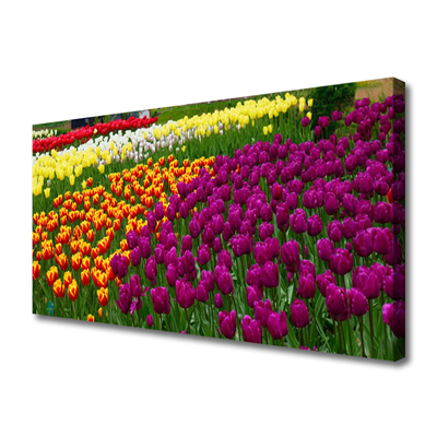 Quadro em tela Tulipas Flores