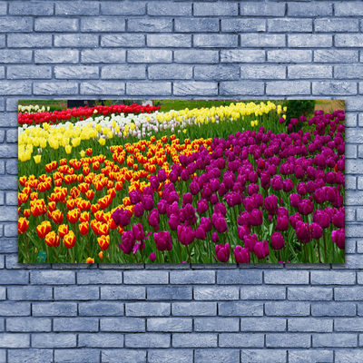 Quadro em tela Tulipas Flores