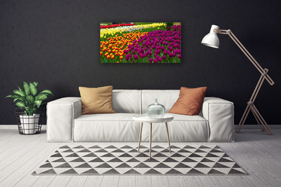 Quadro em tela Tulipas Flores