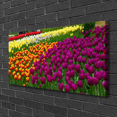 Quadro em tela Tulipas Flores