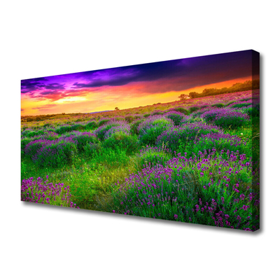 Quadro canvas Prado da Natureza