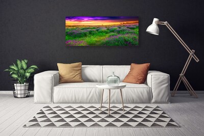 Quadro canvas Prado da Natureza