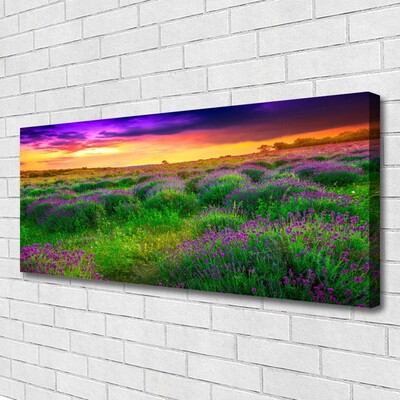 Quadro canvas Prado da Natureza