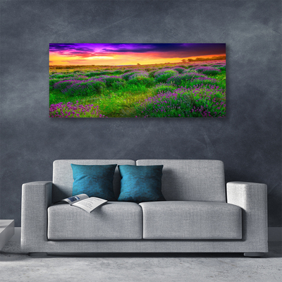 Quadro canvas Prado da Natureza