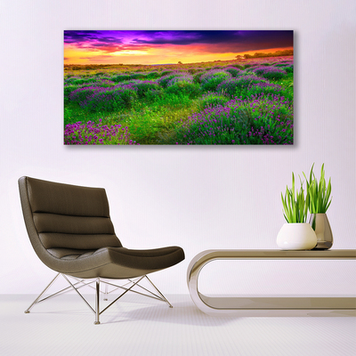 Quadro canvas Prado da Natureza