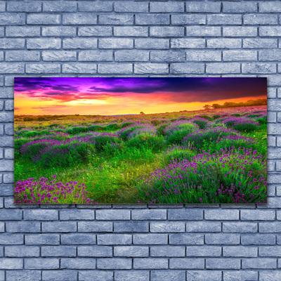Quadro canvas Prado da Natureza