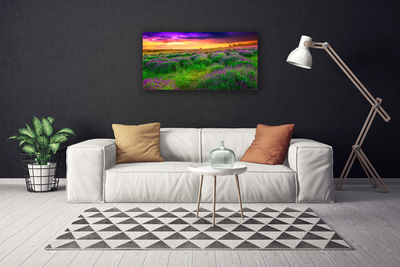 Quadro canvas Prado da Natureza
