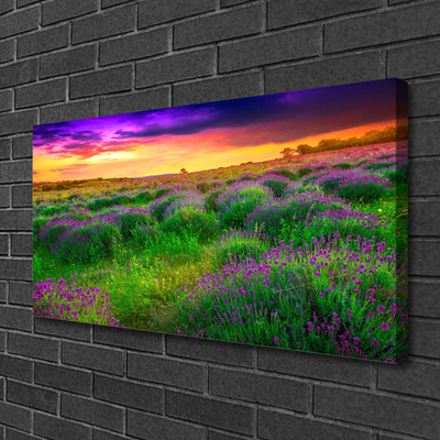 Quadro canvas Prado da Natureza
