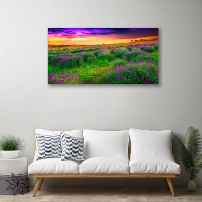 Quadro canvas Prado da Natureza
