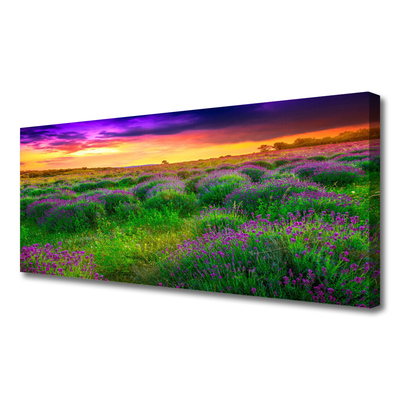 Quadro canvas Prado da Natureza