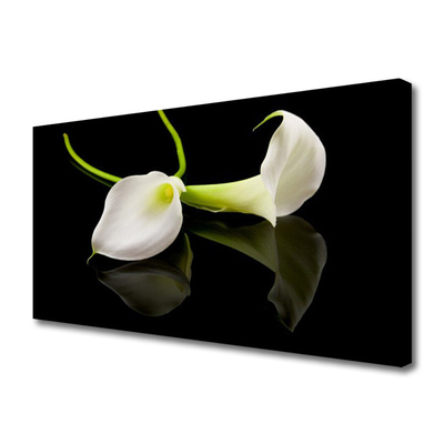 Quadro canvas Planta de flores