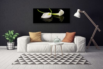 Quadro canvas Planta de flores