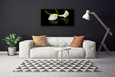 Quadro canvas Planta de flores