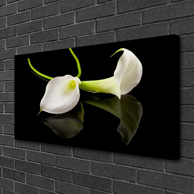Quadro canvas Planta de flores