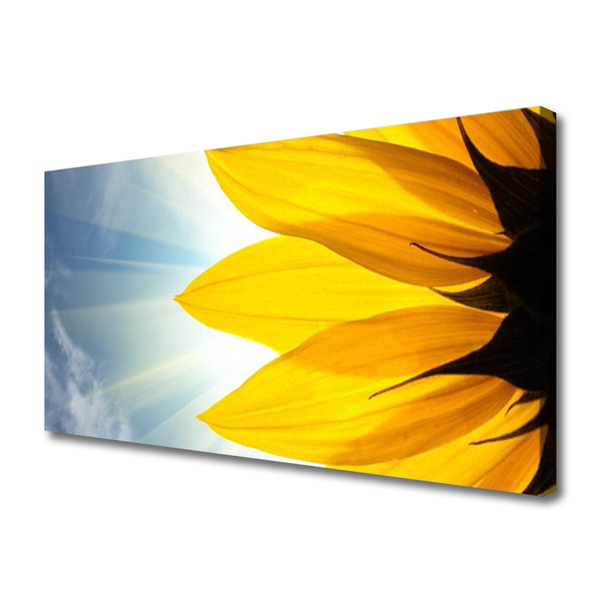 Quadro em tela Planta de pétalas