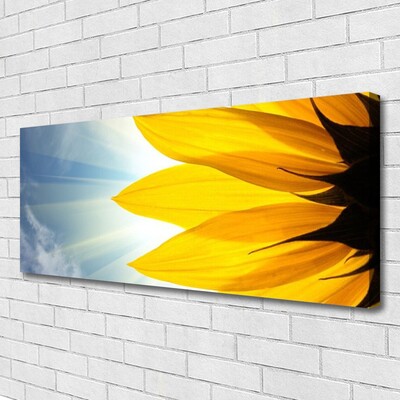 Quadro em tela Planta de pétalas